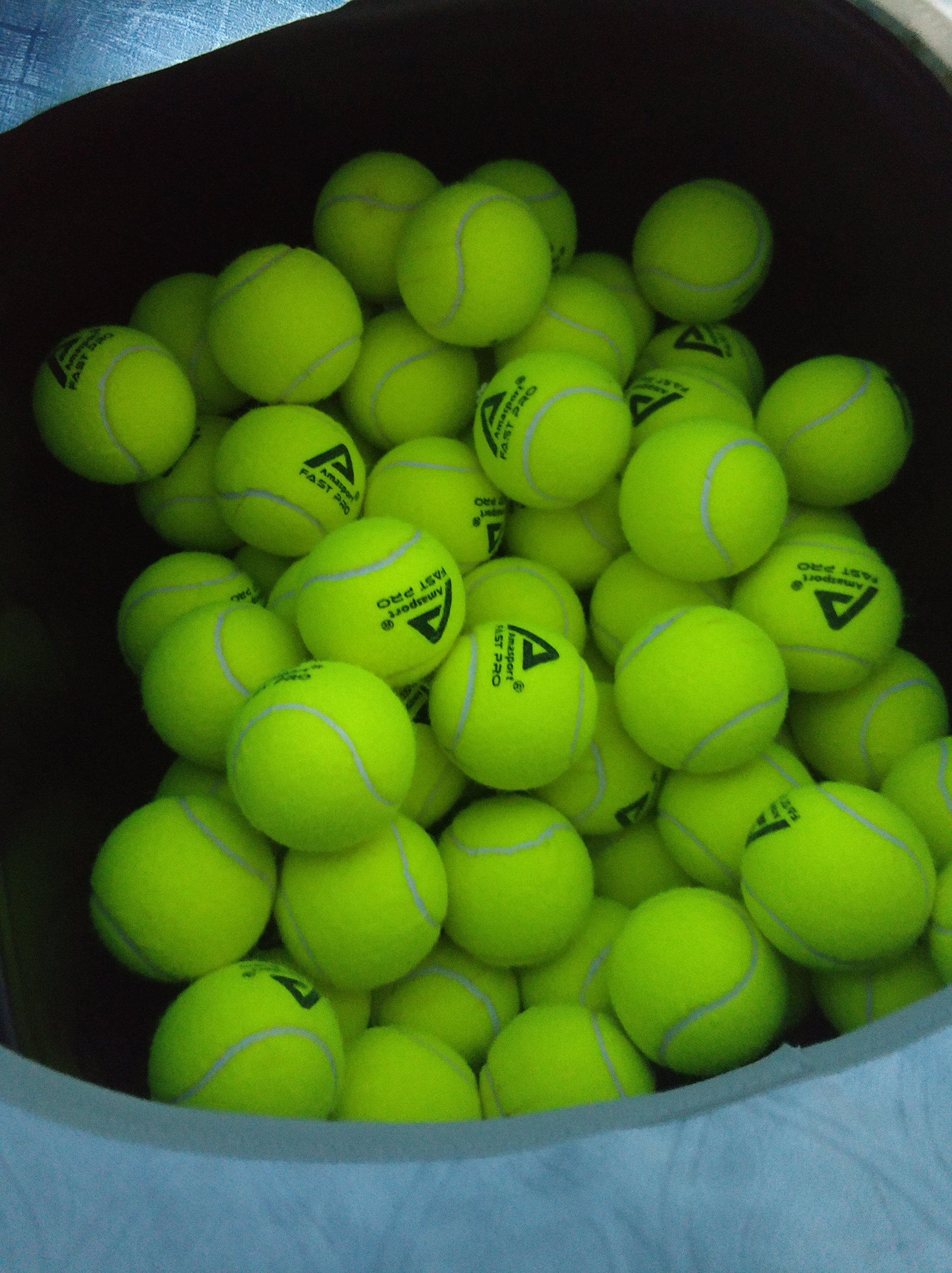 全球球迷的 全球球迷的