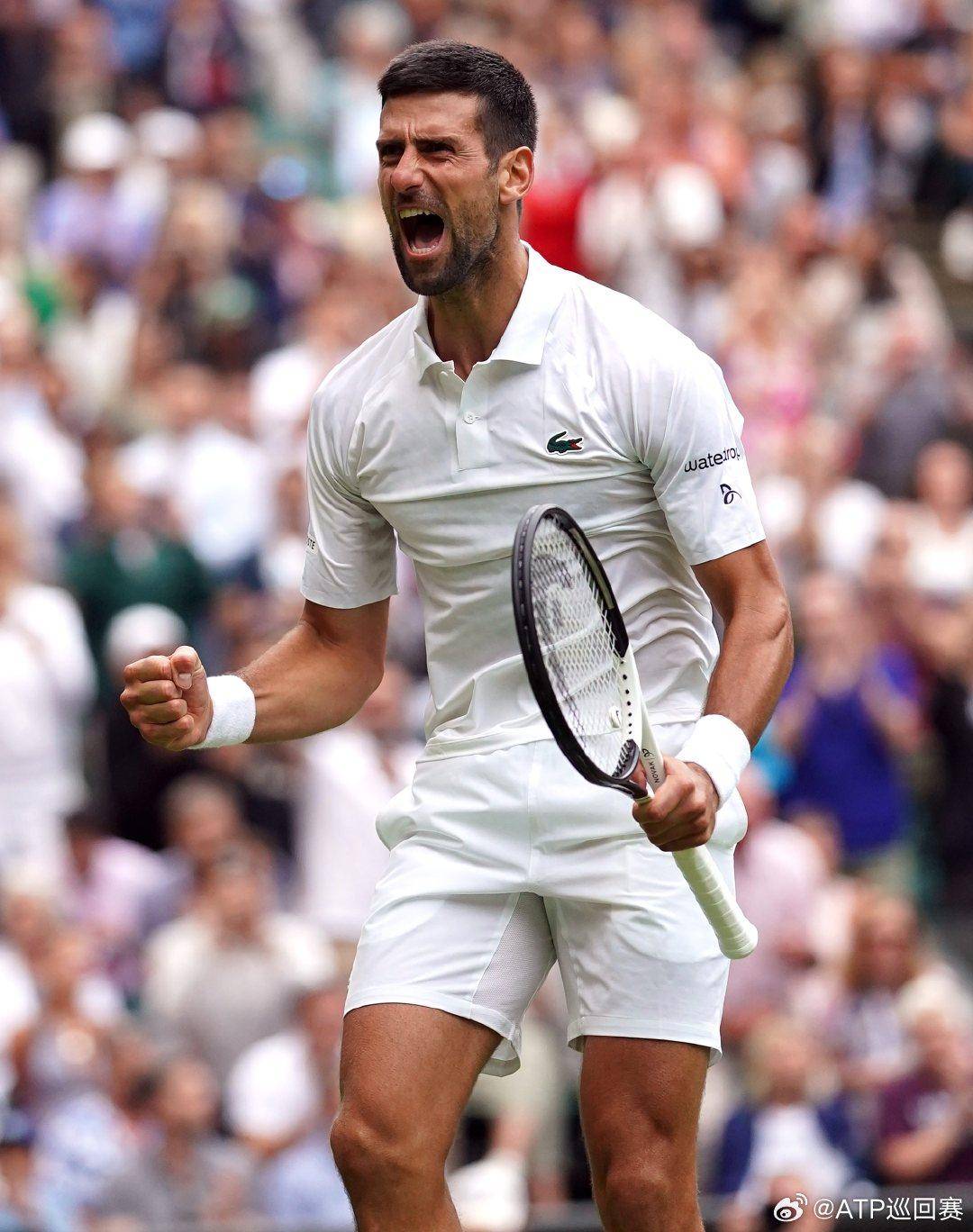 伊万科维奇 伊万科维奇