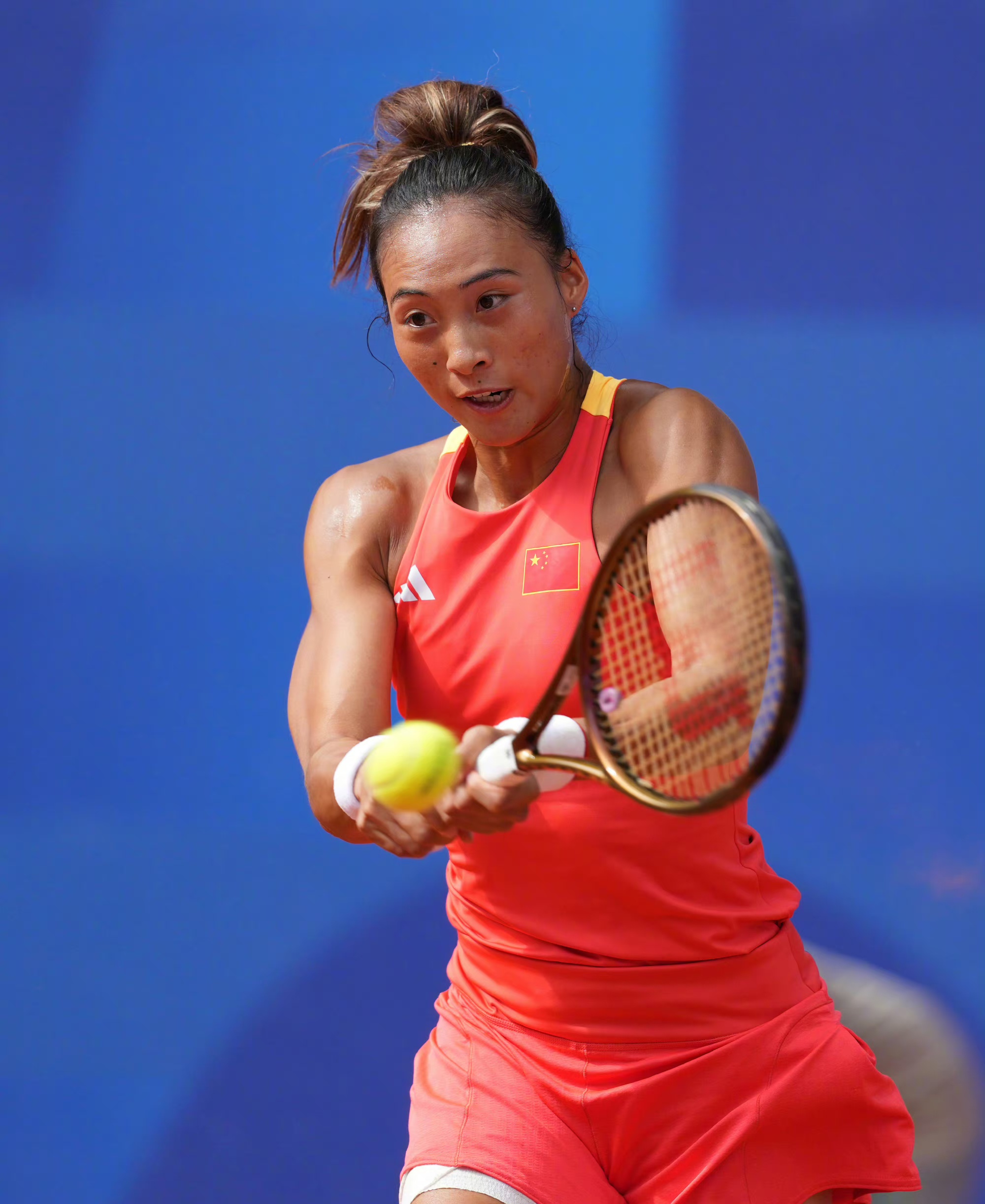 设立阶段性 设立阶段性